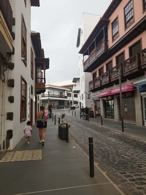 1-2 hour walking route through Puerto de la Cruz, Tenerife - Language, accessibility, and simple preparation