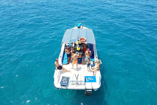 2 hour trip to see whales dolphins puerto colon adeje - Key points to know before you book
