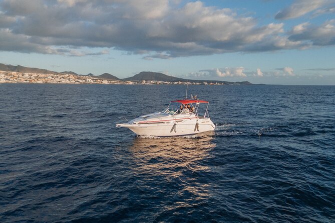 2 Hour VIP Private Luxury Sunset Boat Charter in Tenerife - Who will enjoy this charter most