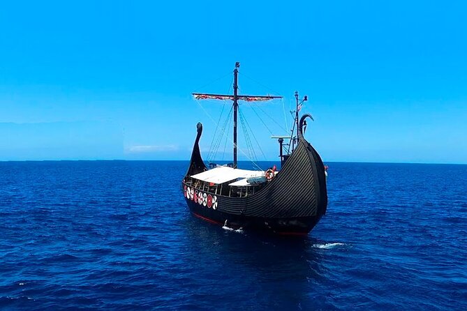 2h Viking Cruise Whales & Dolphins Watching - What the two-hour timing means