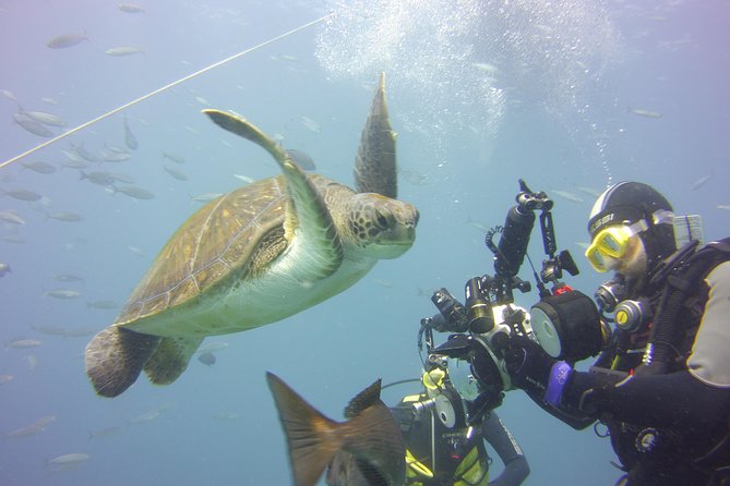 2x diving package, on request including refreshment - The 45-minute break keeps the day manageable