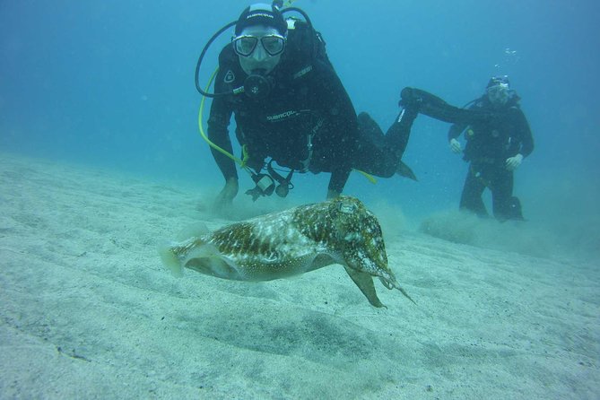 2x diving package, on request including refreshment - At Ocean Trek Tenerife, the day begins with a proper check