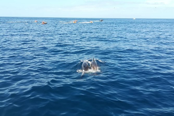 3-Hour Boat Trip from Costa Adeje in Tenerife - Sailing Tenerife’s southern coast with Felix