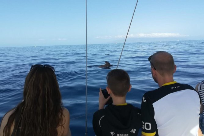 3-Hour Boat Trip from Costa Adeje in Tenerife - How much value do you get for $65.16?