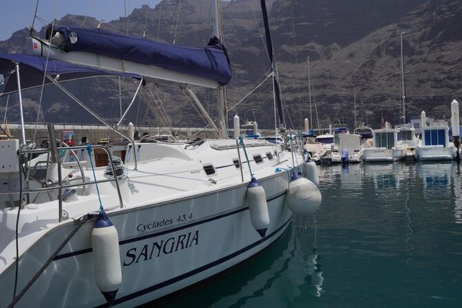 3-Hour Cetacean Watching and Snorkeling Tour in Tenerife - Setting out from Los Gigantes