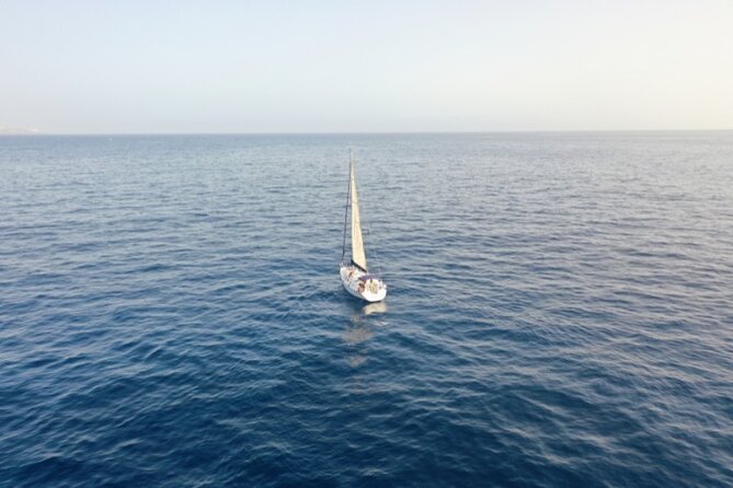 3-Hour Cetacean Watching and Snorkeling Tour in Tenerife - Masca for one hour of swimming and snorkeling
