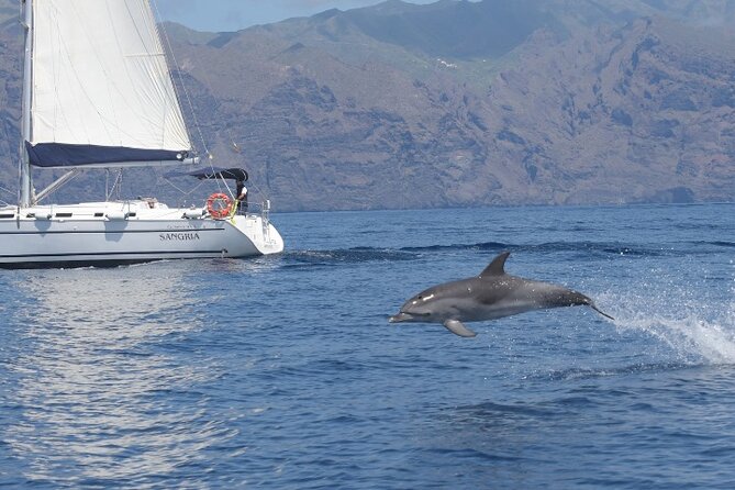 3-Hour Cetacean Watching and Snorkeling Tour in Tenerife - Weather, cancellations, and choosing the right day