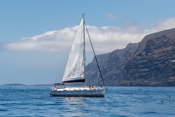 3-Hour Cetacean Watching and Snorkeling Tour in Tenerife - Whale watching along Tenerife’s southwest coast