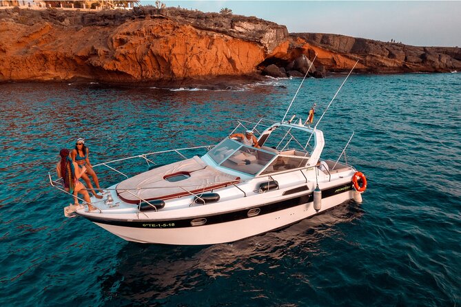 3 Hour Shared Motor Yacht Boat Trip & Snorkeling With Small Group - Whale and dolphin spotting off Tenerife