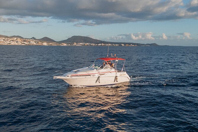 3 Hour VIP Private Luxury Boat Charter in Tenerife - The return cruise and the value of private time