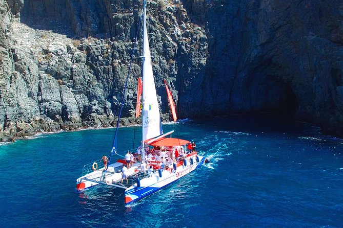 3-hour Whale and Dolphin Watching and Listening Tour - At a glance: what makes this cruise worth considering