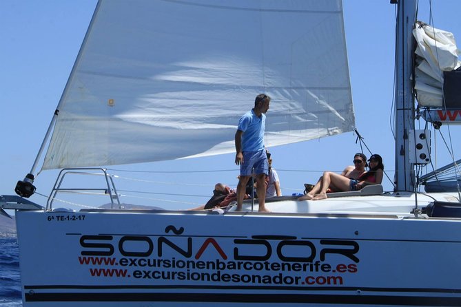3 Hours All Inclusive Whale and Dolphin Whatching Yacht Trip - Price, pickup, and practical planning