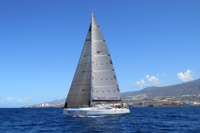 3 Hours All Inclusive Whale and Dolphin Whatching Yacht Trip - Whale and dolphin watching off Tenerife