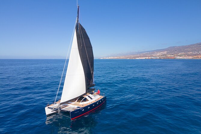 3 hrs. Whale Watching and Relaxing Chill Out Catamaran with glass floor - Key points to know before sailing