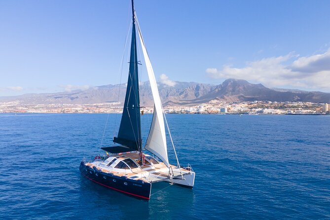 3 hrs. Whale Watching and Relaxing Chill Out Catamaran with glass floor - What the $0 price means for value