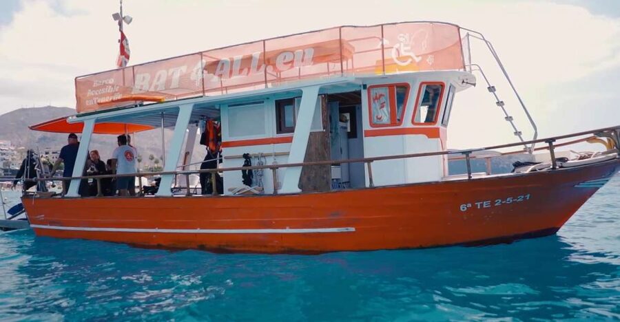 3H Shared Barrier-Free Cruise with Turtles Dolphins & Whales - Searching for dolphins and pilot whales