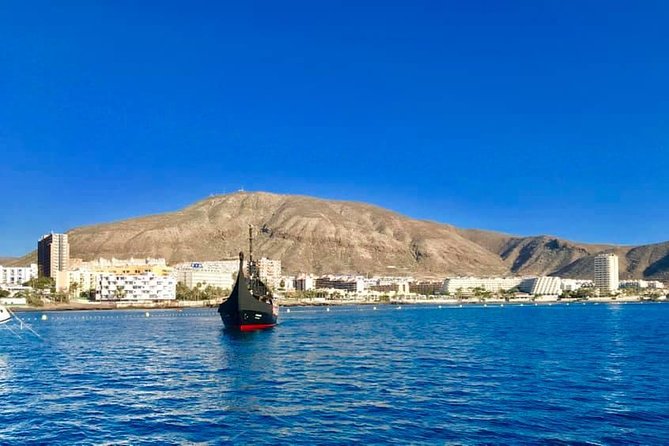 3h Viking Cruise with Drinks, Whales watching & Swimming Time - The first 30 to 40 minutes: watching whales and dolphins