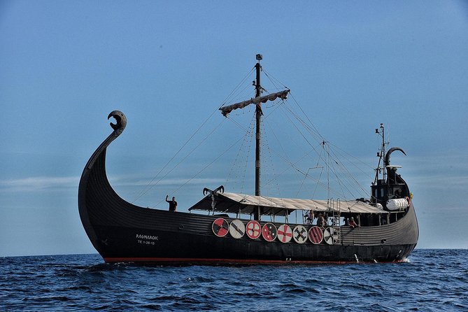 3h Viking Cruise with Drinks, Whales watching & Swimming Time - Families, couples, and accessibility