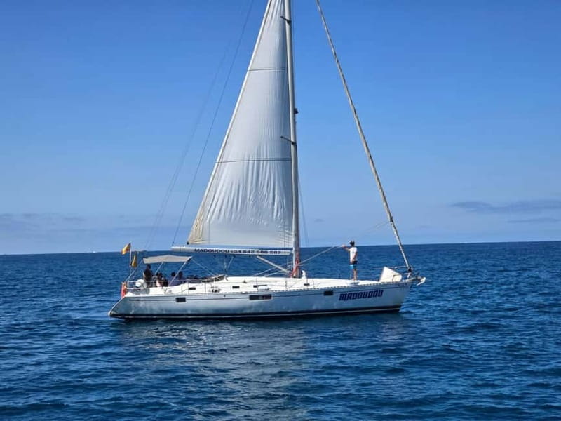 3h Whale Watching Private tour Beneteau Oceanis 440 - Key points to know before booking
