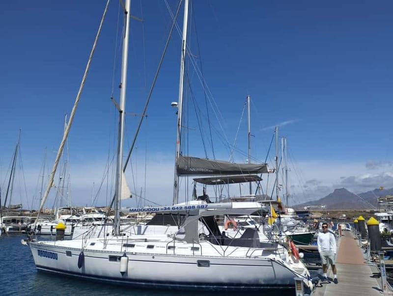 3h Whale Watching Private tour Beneteau Oceanis 440 - Looking for pilot whales, dolphins and turtles