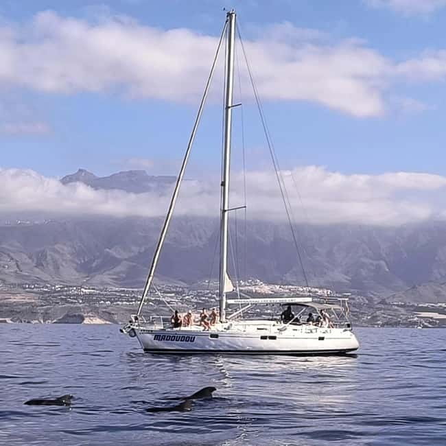 3h Whale Watching Share Tour Beneteau Oceanis 440 - Sailing along Tenerife’s volcanic coast