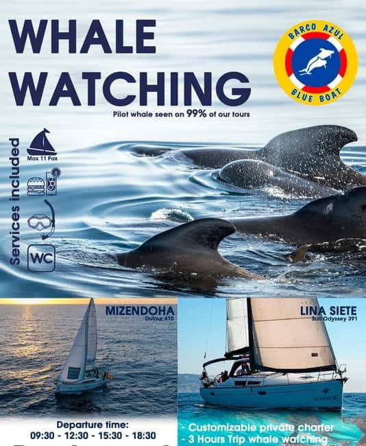 3h Whale watching Share Tour Costa Adeje Lina7 Mizendoha - A small boat and a very specific whale target