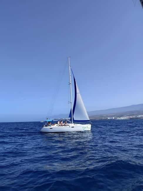3h Whale watching Share Tour Costa Adeje Lina7 Mizendoha - Sun, sea conditions, and what to bring