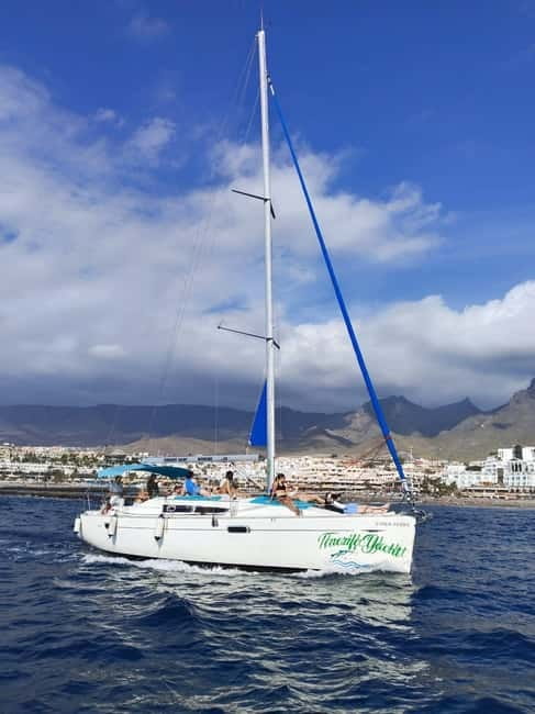 3h Whale watching Share Tour Costa Adeje Lina7 Mizendoha - Who will enjoy Lina7 or Mizendoha most?