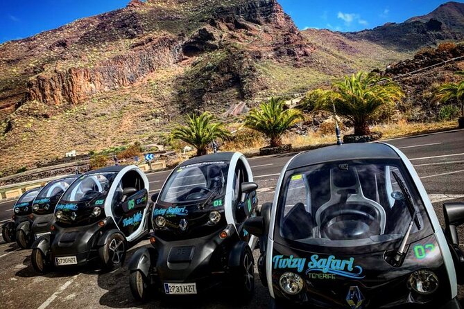 4 Hours Eco Safari Tour with Electric Car in Tenerife - Why the Twizy makes Tenerife feel different