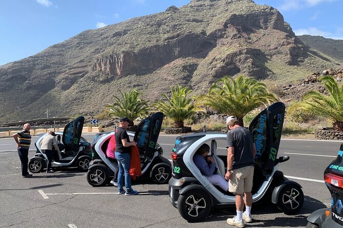 4 Hours Eco Safari Tour with Electric Car in Tenerife - Tamaimo and the barraquito coffee stop