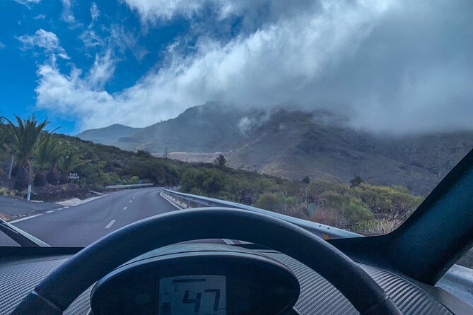 4 Hours Eco Safari Tour with Electric Car in Tenerife - Puerto de Santiago and the working banana plantation