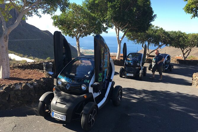 4 Hours Eco Safari Tour with Electric Car in Tenerife - Volcanic ground, mountain roads, and changing views