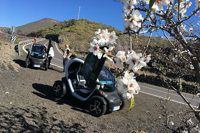 4 Hours Eco Safari Tour with Electric Car in Tenerife - Dani’s guiding style and the value of a small group