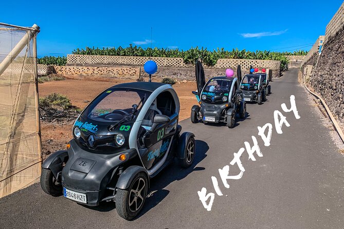 4 Hours Eco Safari Tour with Electric Car in Tenerife - Price, timing, and who gets the best value