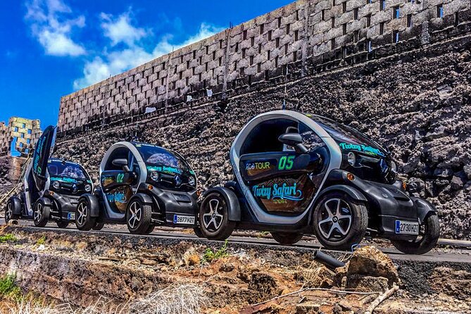 4 Hours Eco Safari Tour with Electric Car in Tenerife - Chio, local food, and small-scale production