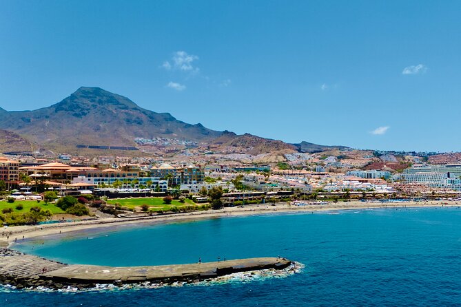 5 hr watching and listening whales and dolps. Visit Los Gigantes - Swimming and snorkeling in Masca Bay