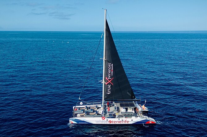 5 hr watching and listening whales and dolps. Visit Los Gigantes - Lunch, drinks, and the practical value of $71.38