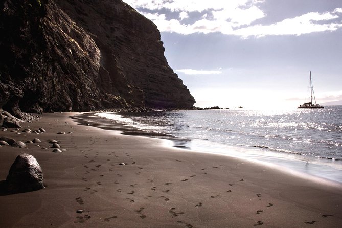 5 hr watching and listening whales and dolps. Visit Los Gigantes - The crew and the feel of the cruise