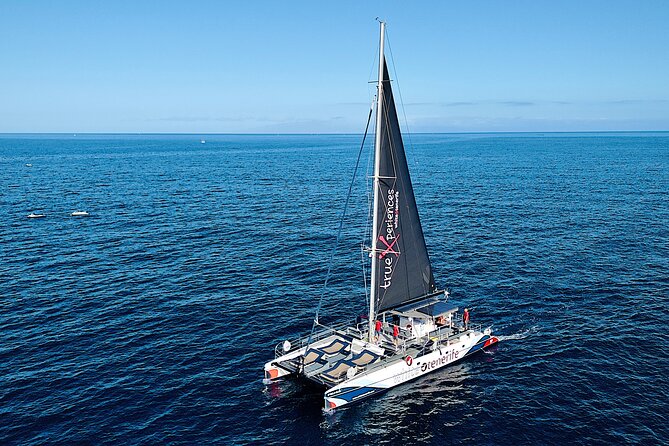 5 hr watching and listening whales and dolps. Visit Los Gigantes - Searching for whales and dolphins off Tenerife