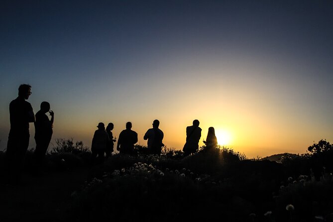 6-Hour Tour with Observation of the Stars 1242 with Lunch - El Pino Gordo, a five-minute stop with real character