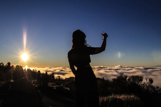 6-Hour Tour with Observation of the Stars 1242 with Lunch - The small-group promise and what to confirm