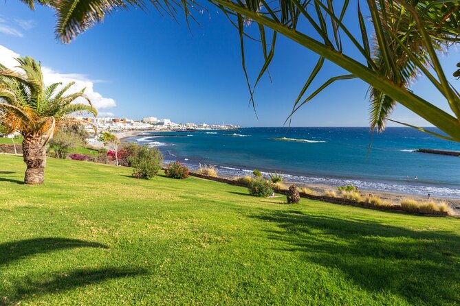 6 Hrs Private Tour In Tenerife - Why this private Tenerife tour can work so well
