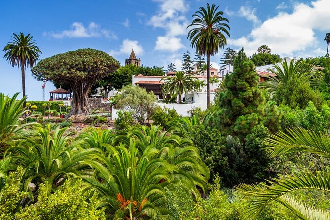 6 Hrs Private Tour In Tenerife - La Laguna in 45 minutes: Tenerife’s best historic stroll