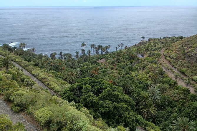 6hrs Private Tour in North Coast of Tenerife - Playa del Socorro and the wild north coast
