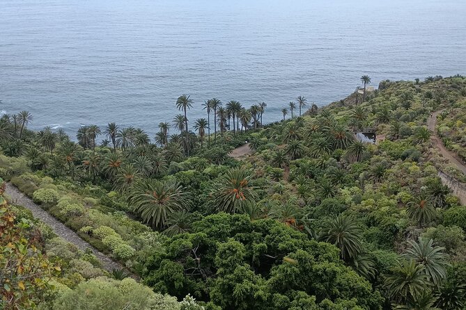 6hrs Private Tour in North Coast of Tenerife - What the private format really adds