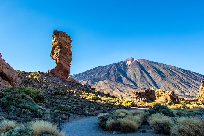 8-Hour Rental in a Luxury Car and Driver/Official Private Guide in Tenerife - The value of an eight-hour private car