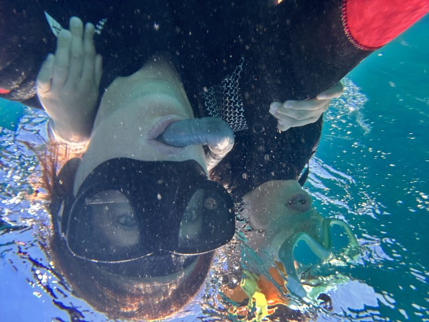 Abades: Guided Snorkeling Tour with Photos - My verdict: a friendly, fairly priced first snorkel
