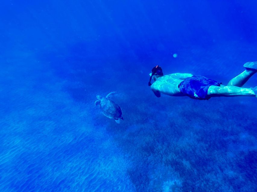 Abades: Guided Snorkeling Tour with Photos - Playa Abades, where the sea life starts close to shore