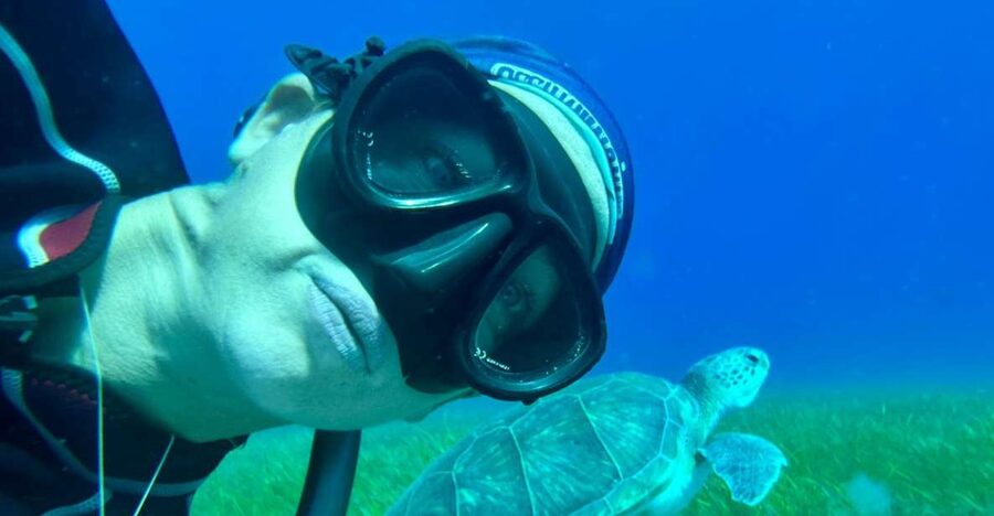 Abades: Guided Snorkeling Tour with Photos - What you can actually see beneath the surface