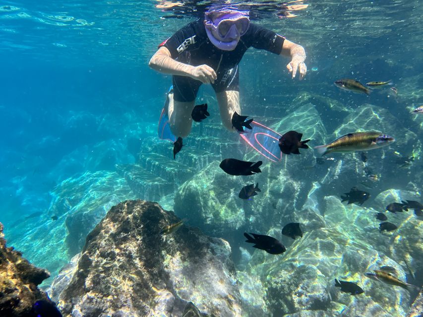 Abades: Guided Snorkeling Tour with Photos - Why the guides matter for first-timers
